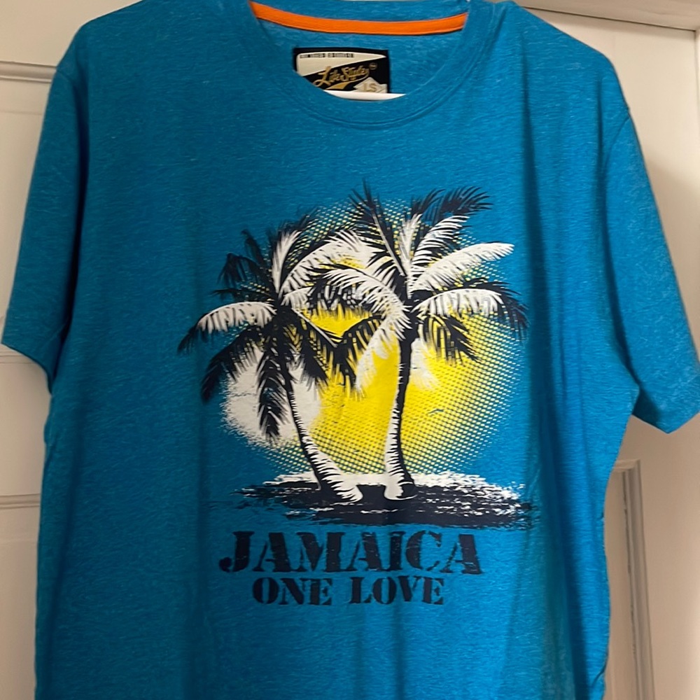 5/$25 ⭐️ Mens graphic short sleeve shirt